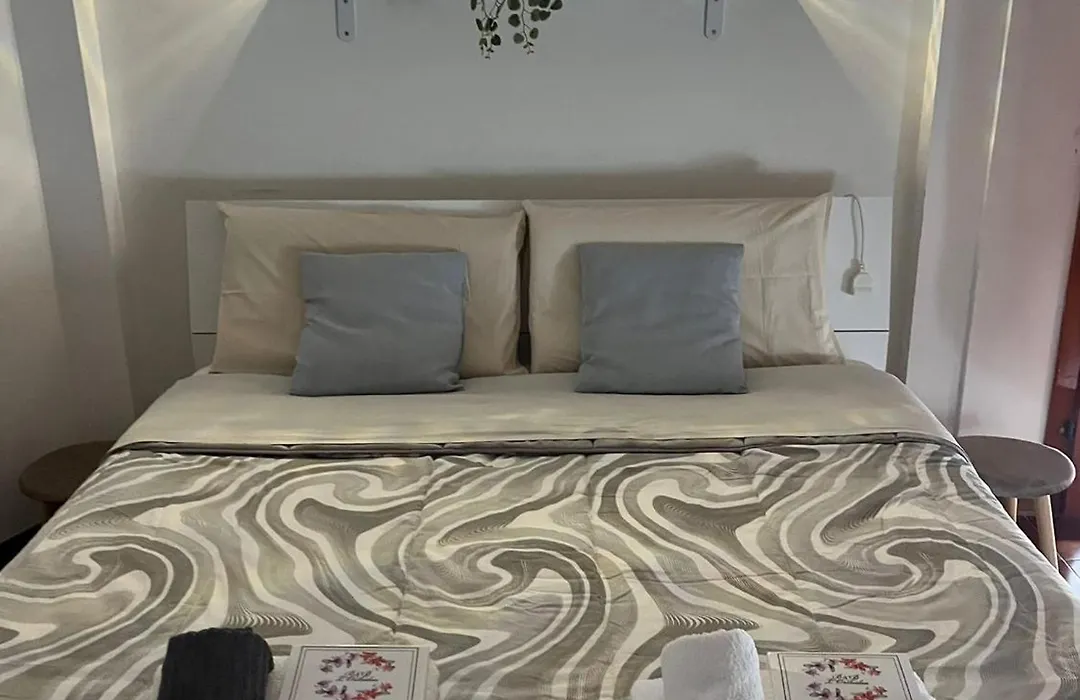 B&B L'Orchidea-1